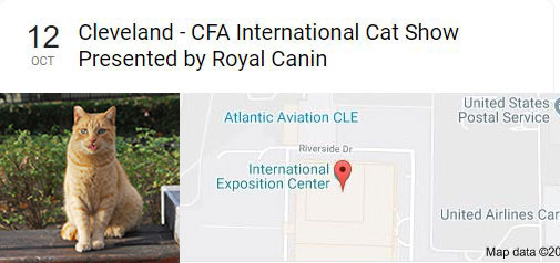 October 12-13 - CFA International Cat Show