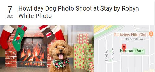December 7 - Howliday Dog Photoshoot