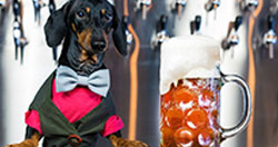 Yappy Hour @ Tremont Taphouse