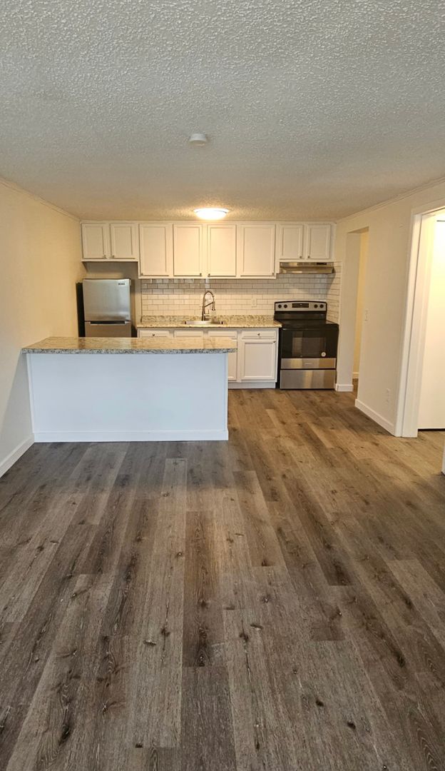 1 Bed and 1 Bath Apartments with In-Unit Laundry for Rent | Entirely Renovated Image