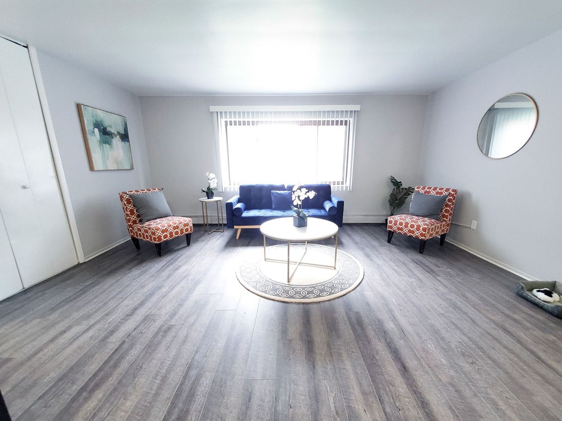 1 Bedroom Apartments for Rent | Newly Renovated Image