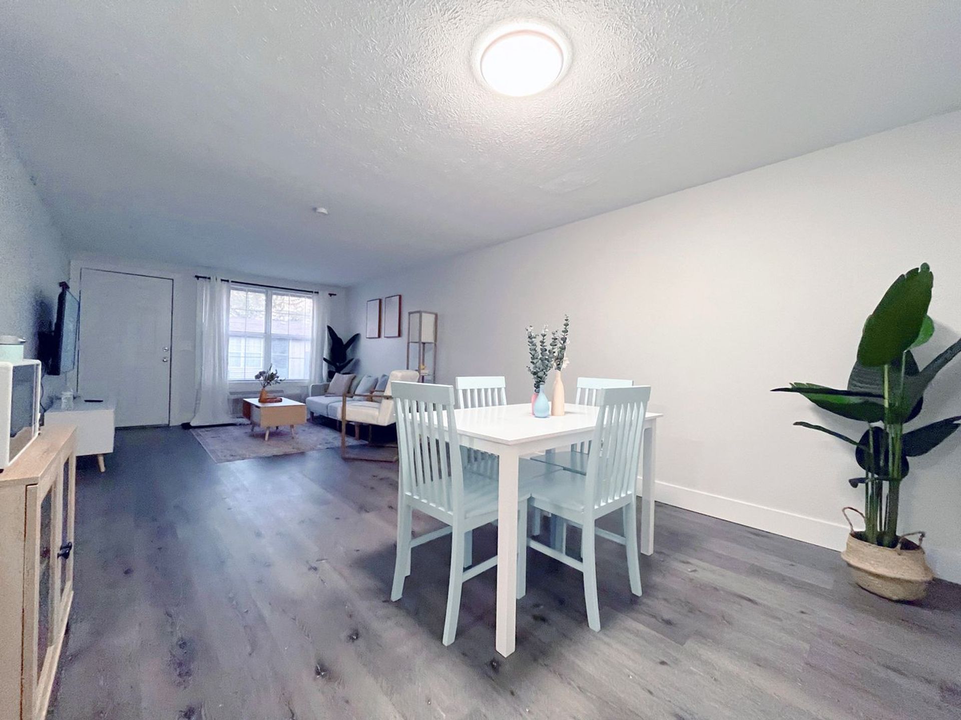 1 Bed and 1 Bath Apartments with In-Unit Laundry for Rent | Entirely Renovated Image