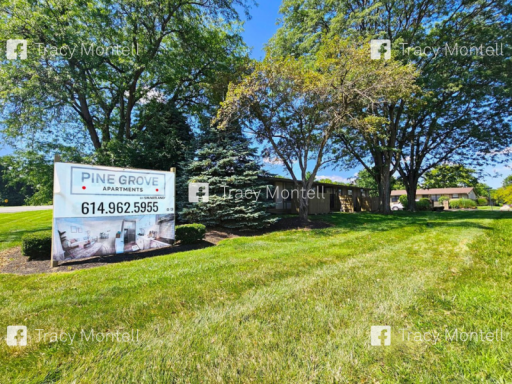 1 Bed and 1 Bath Apartments with In-Unit Laundry for Rent | Entirely Renovated