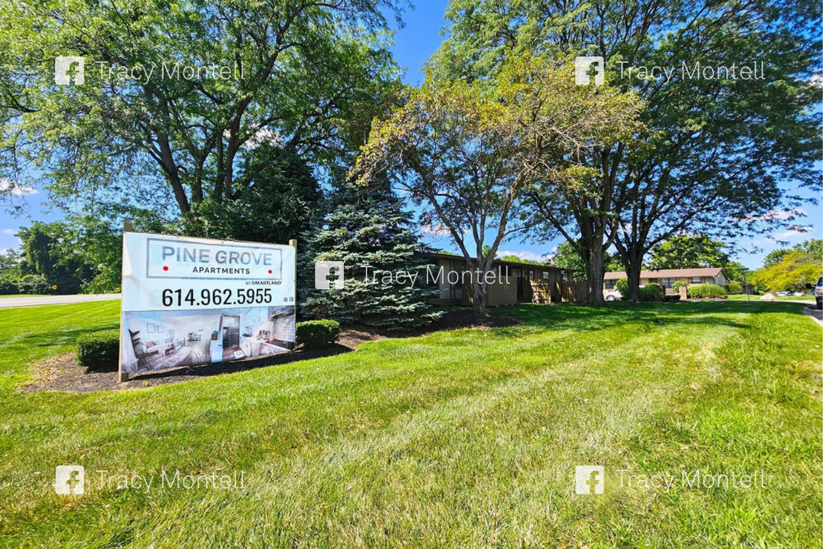 1 Bed and 1 Bath Apartments with In-Unit Laundry for Rent | Entirely Renovated Image