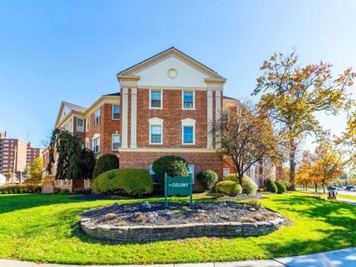 1 Bed and 1 Bath Apartments for Rent in Shaker Heights | Newly Renovated