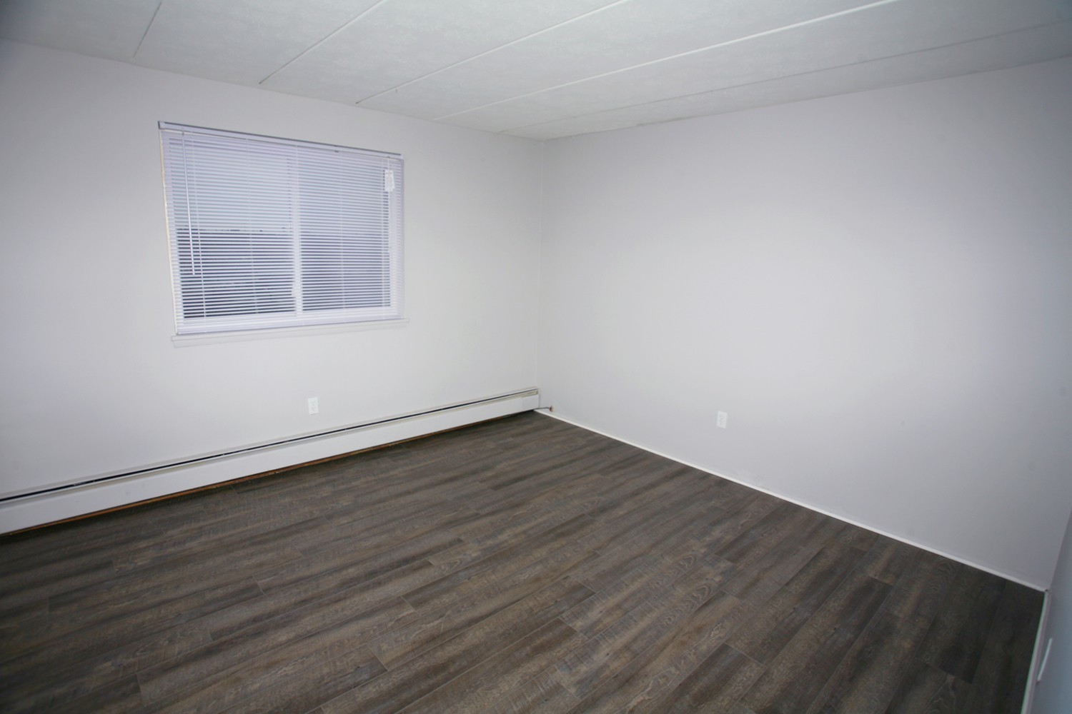 1 Bedroom Apartment for Rent Image