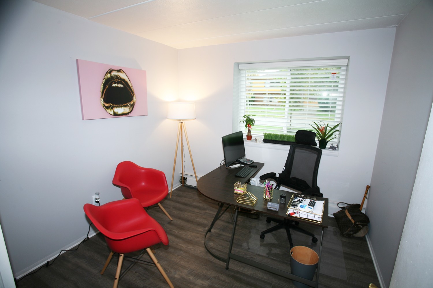 1 Bedroom Apartment for Rent Image