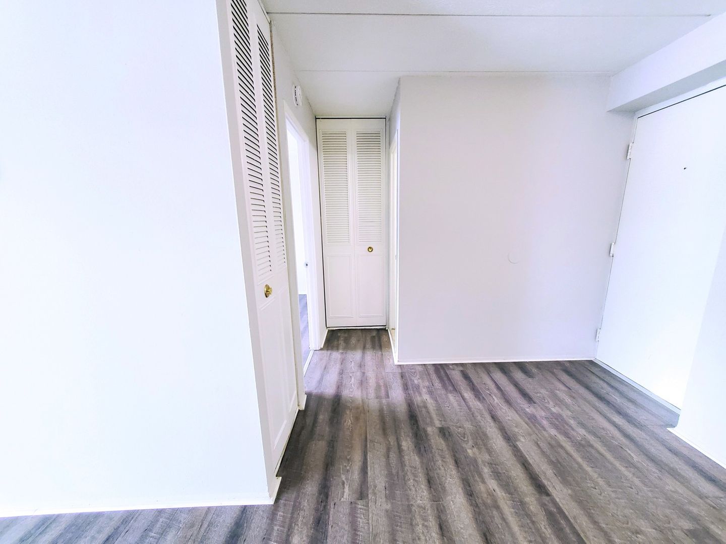 1 Bedroom Apartment for Rent Image