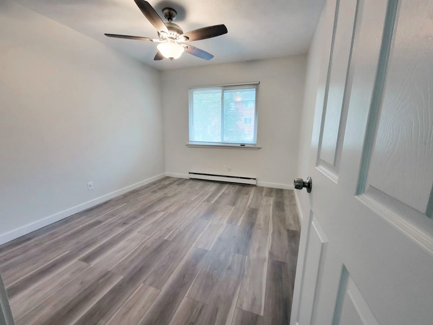 Newly Renovated Apartment 1 Bed/1Bath Image