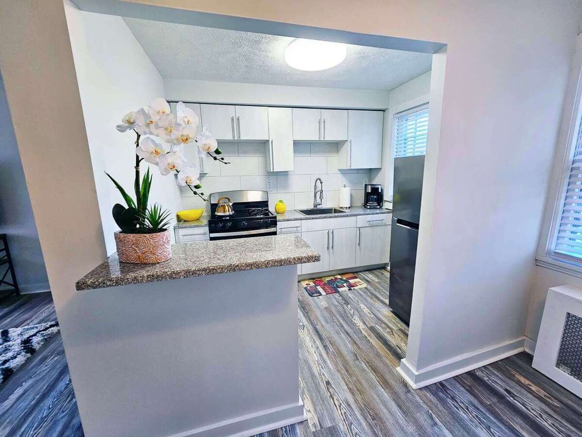 1 Bed and 1 Bath Apartments for Rent in Shaker Heights | Newly Renovated Image