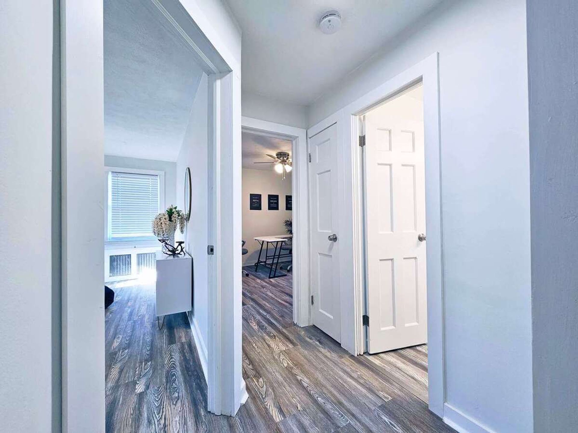1 Bed and 1 Bath Apartments for Rent in Shaker Heights | Newly Renovated Image