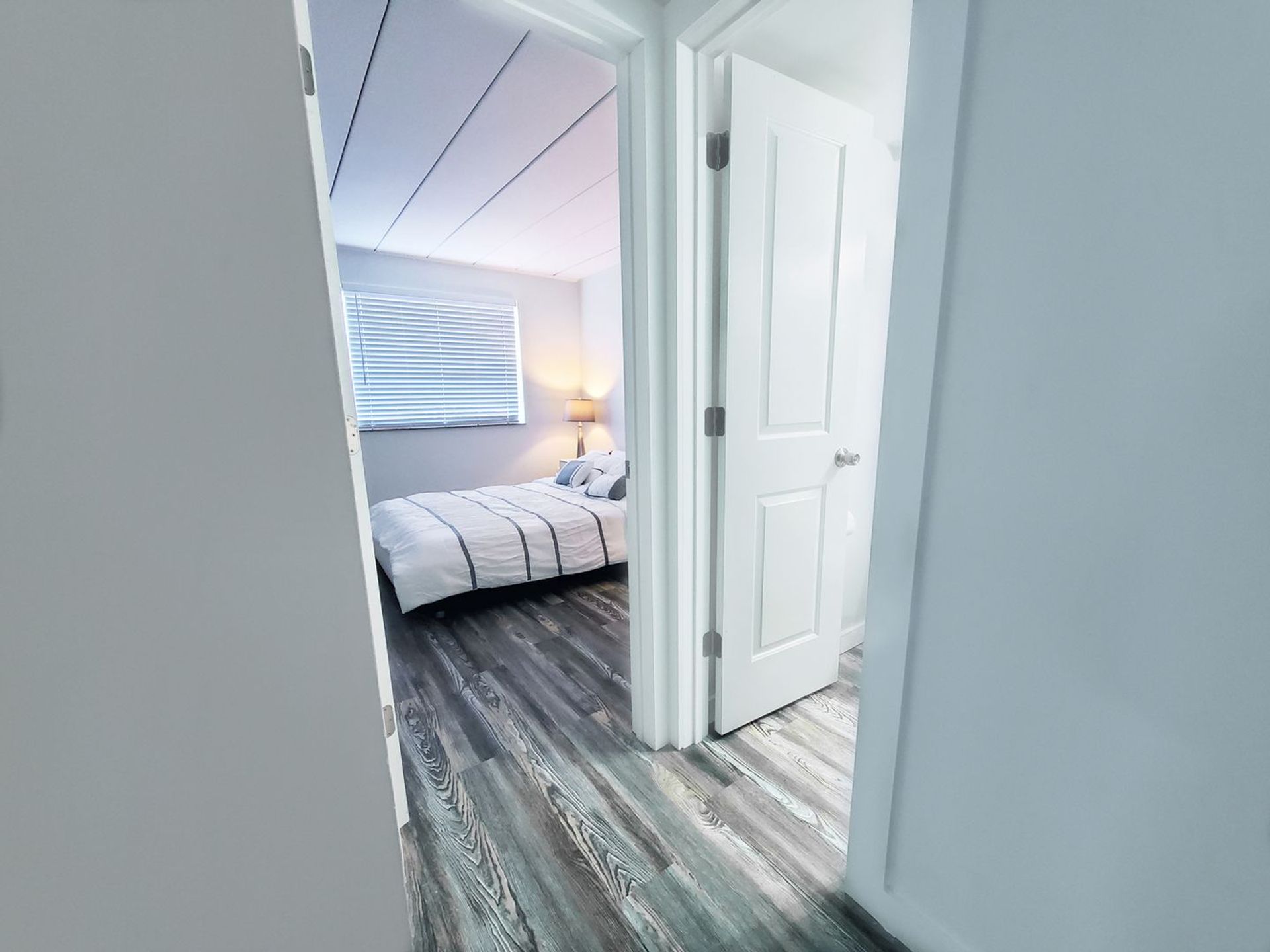 2 Bed and 1 Bath Apartments for Rent | Entirely Renovated Image