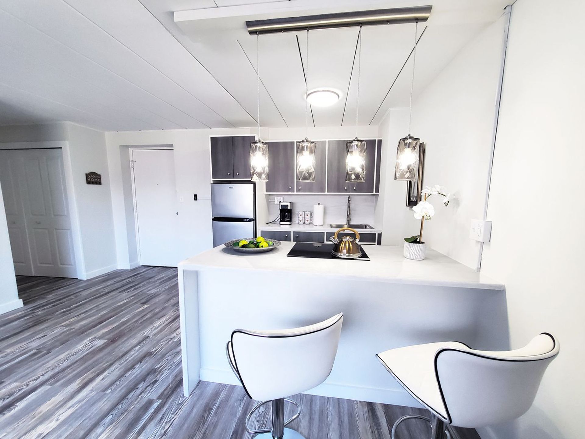 2 Bed and 1 Bath Apartments for Rent | Entirely Renovated Image