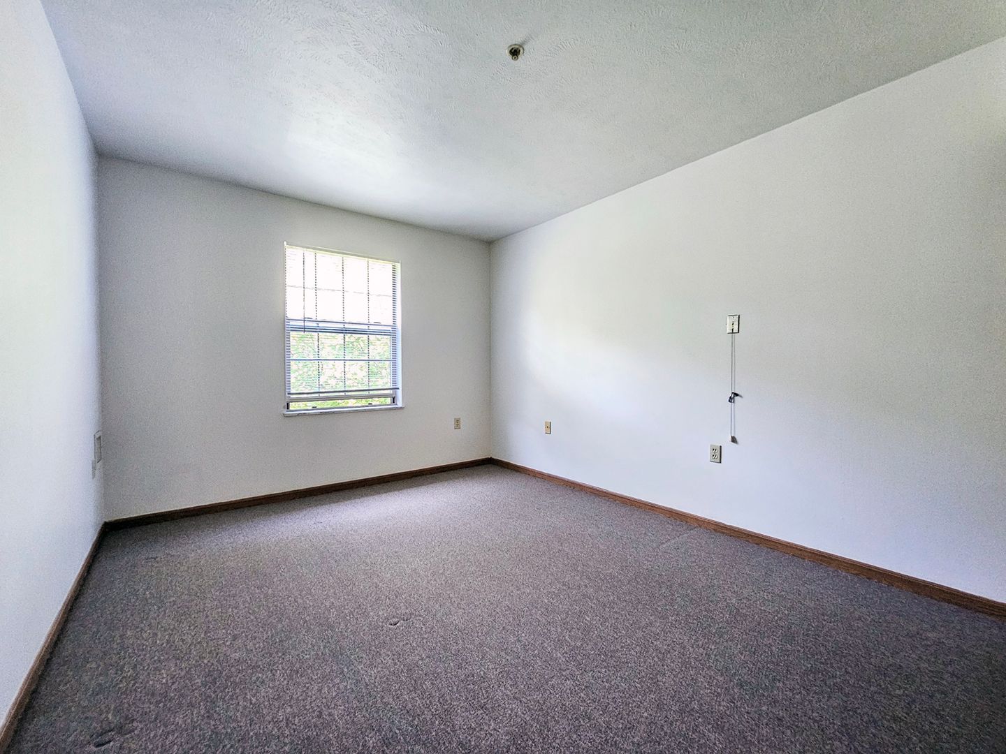Elegant 2-Bedroom & 1-Bathroom Apartment in Ascension Village Image